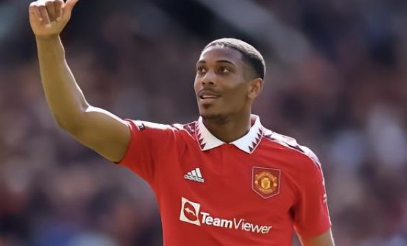 更是他们将 更是他们将